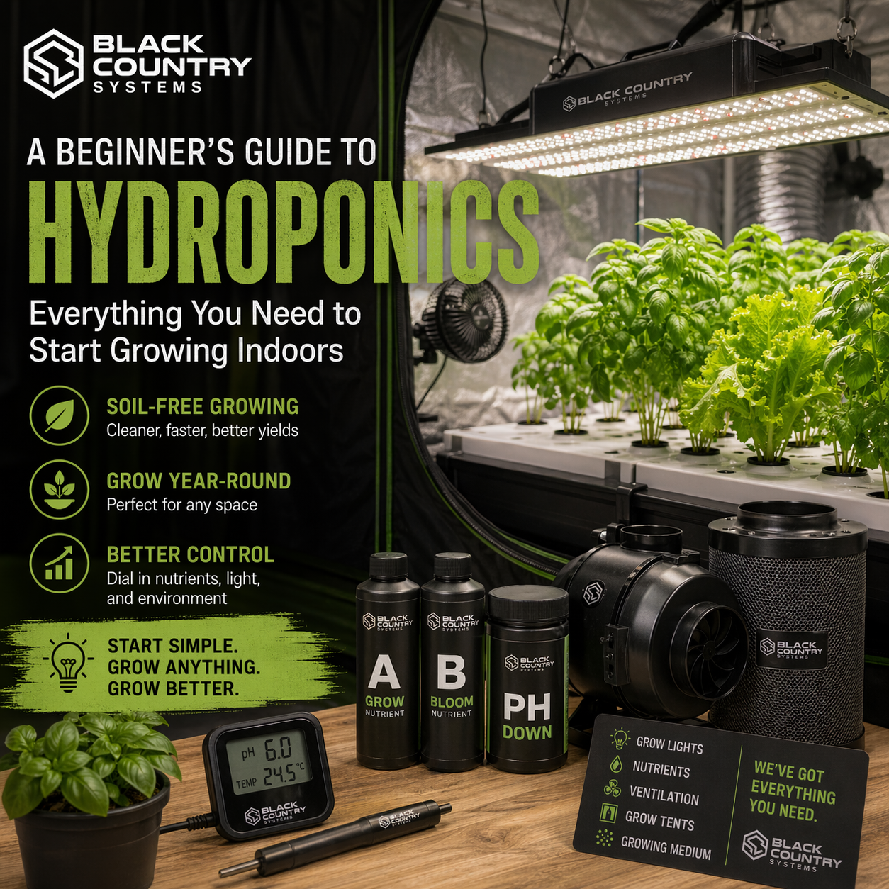 A Beginner’s Guide to Hydroponics: Everything You Need to Start Growing Indoors