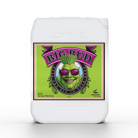 Advanced nutrients BIG BUD