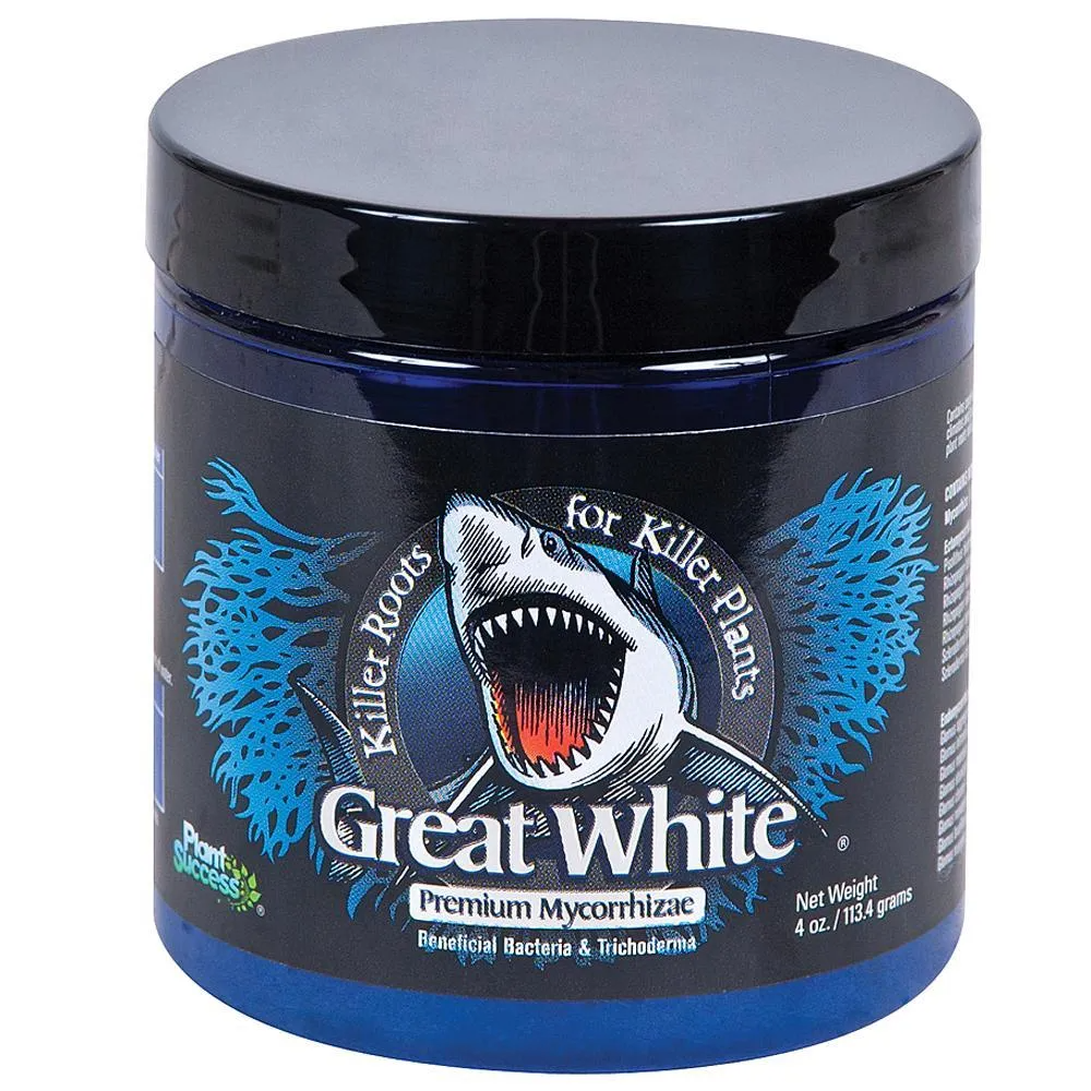 Great White