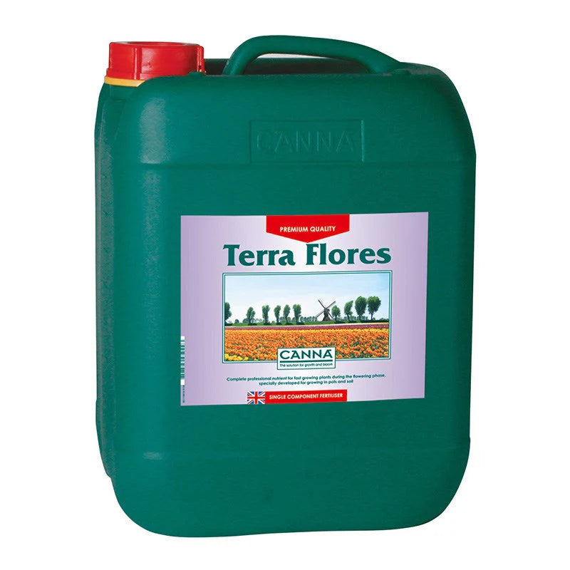 CANNA TERRA FLORES