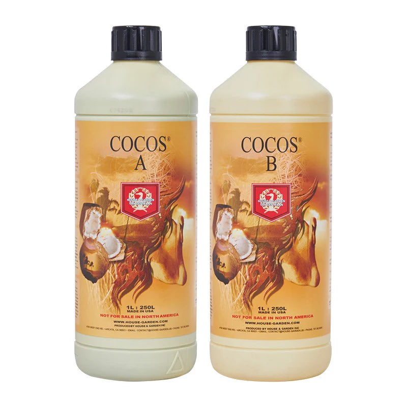 H&G Cocos A-B