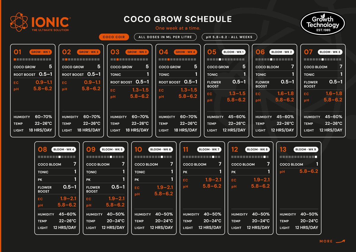 Ionic Coco Bloom 1 ltr