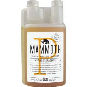 Mammoth P