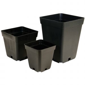 Square Plastic Pots