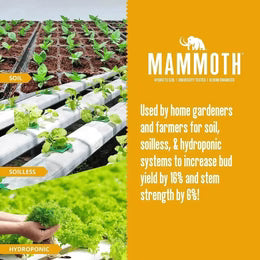 Mammoth P