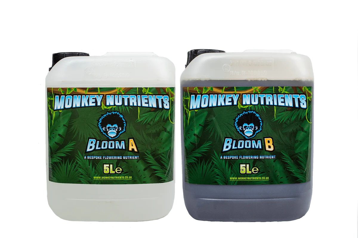 Monkey Bloom A+B