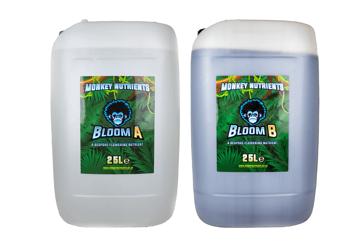 Monkey Bloom A+B