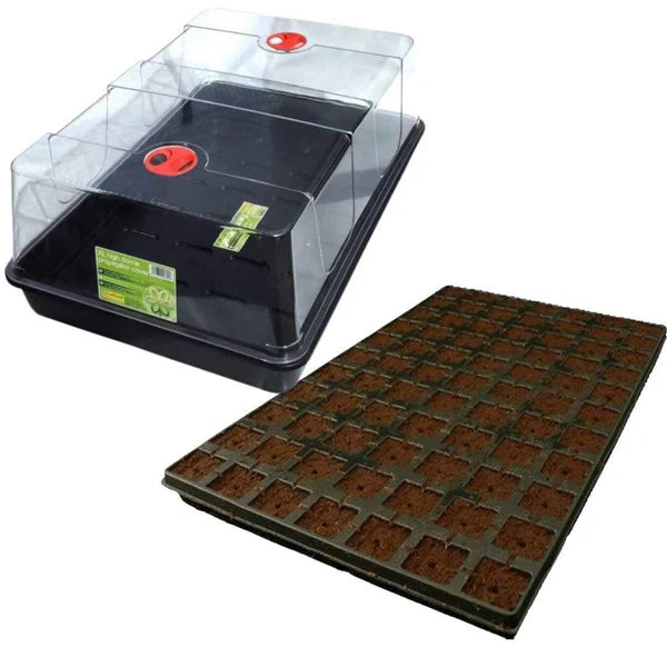 Garland XL high Propagator