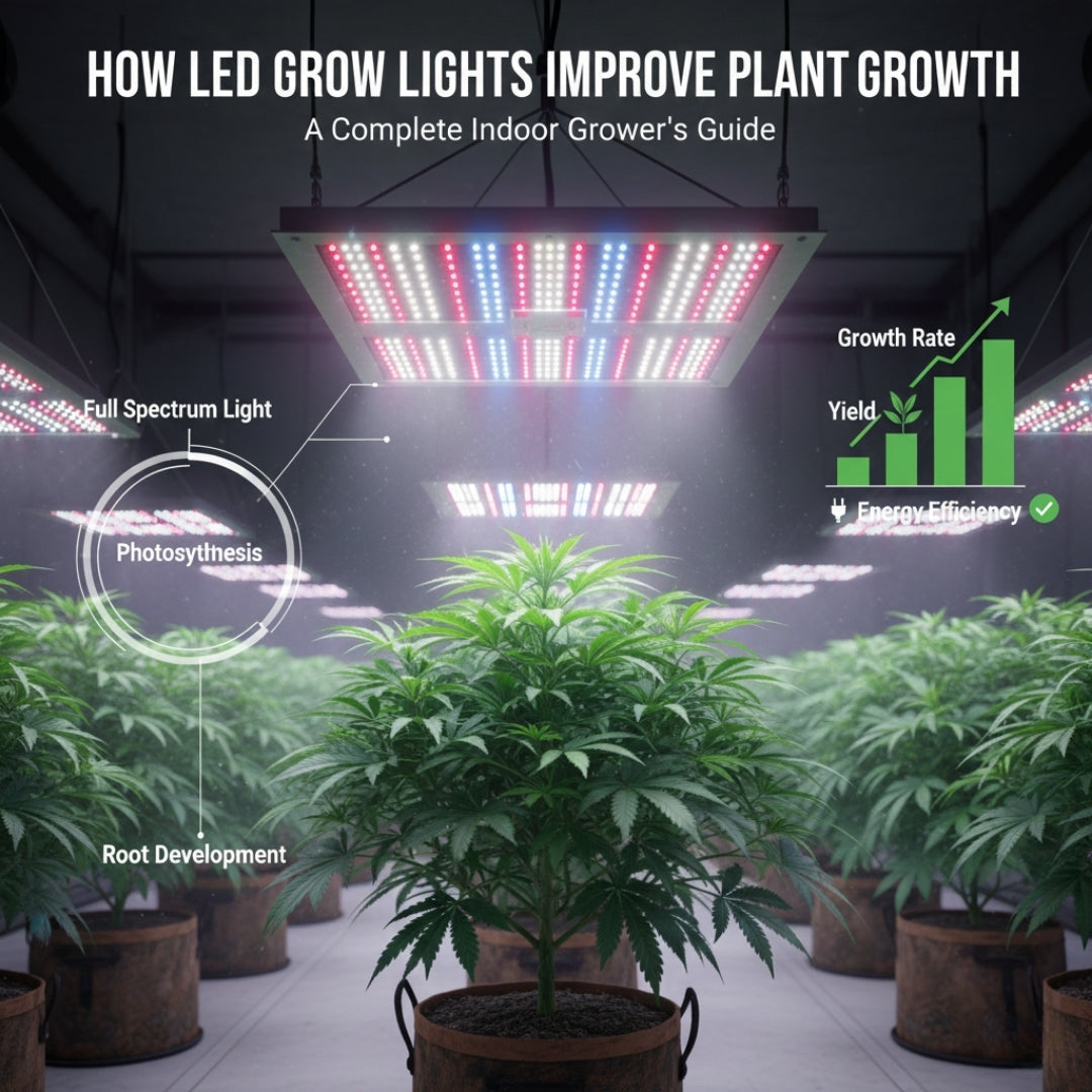 How LED Grow Lights Improve Plant Growth: A Complete Indoor Grower’s Guide