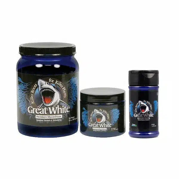 Great White