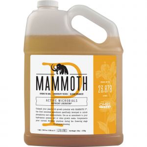 Mammoth P