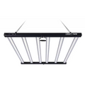 Bright 720W LED (With Built-In Driver)