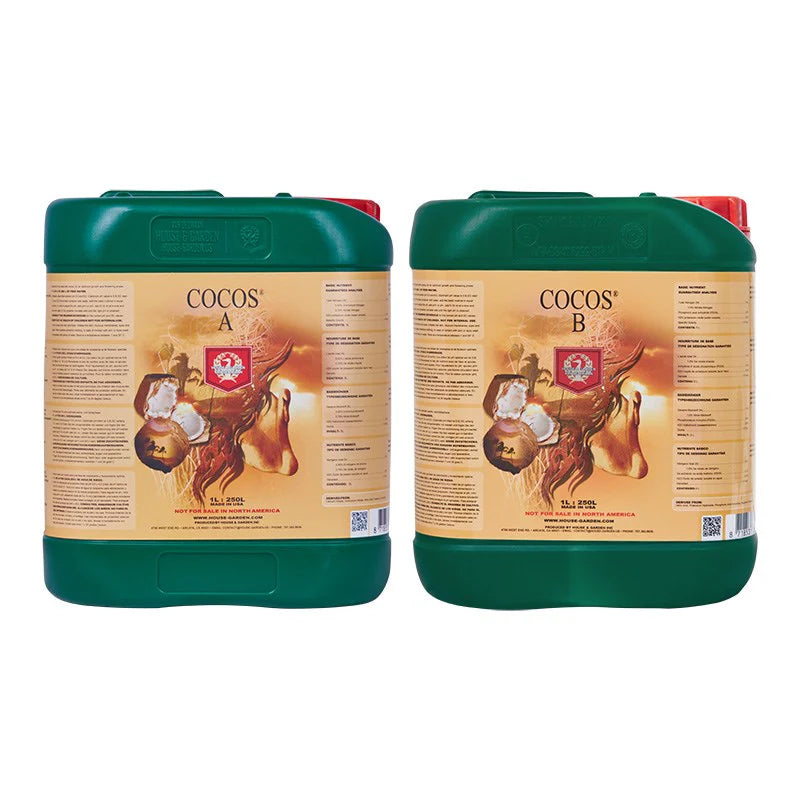 H&G Cocos A-B