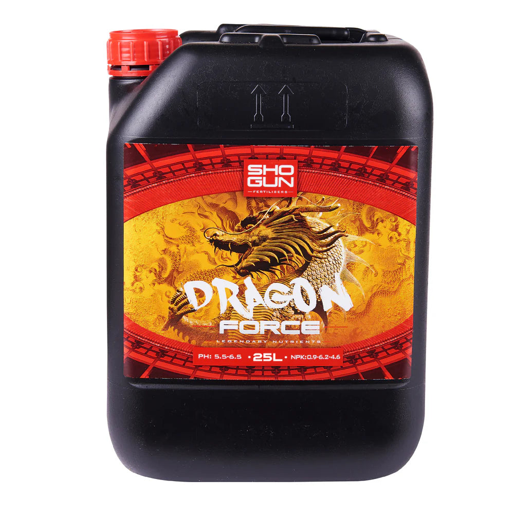Shogun Dragon force