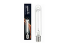Loadstar 600w Dual Spectrum Lamp