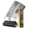 Omega Black 600W Digital Lighting kit