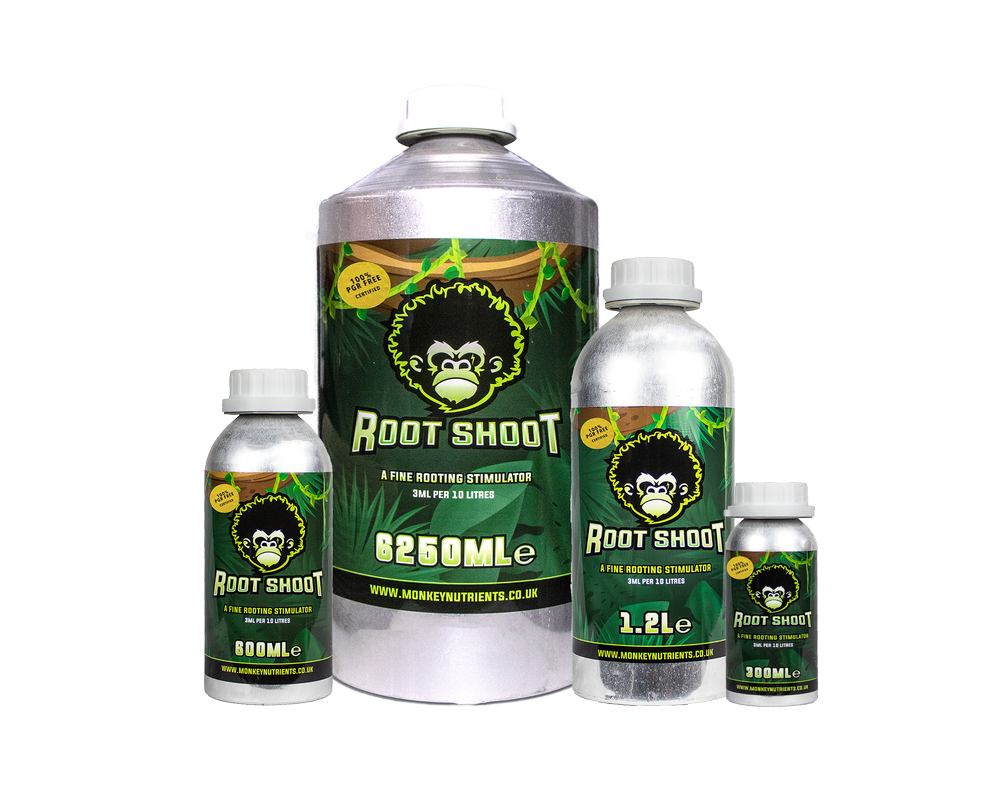 Monkey Root Shoot