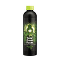 Buddha's Tree Solar Green Power