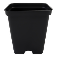 Square Plastic Pots